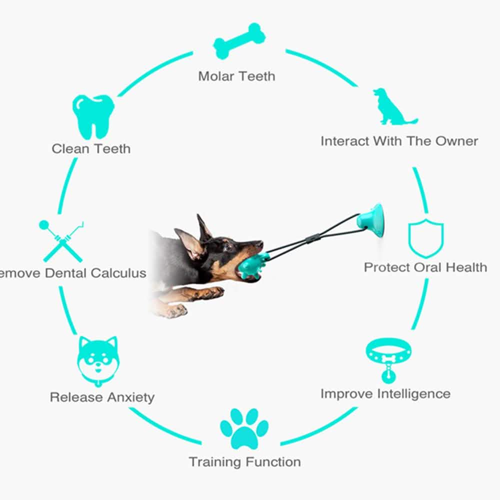 Dog Toys Silicon Suction Cup DailySale