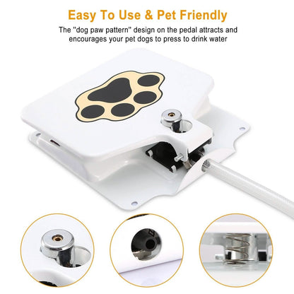 Dog Water Fountain DailySale