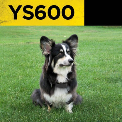 Dogtra YS600 No Bark Collar  (Refurbished) DailySale