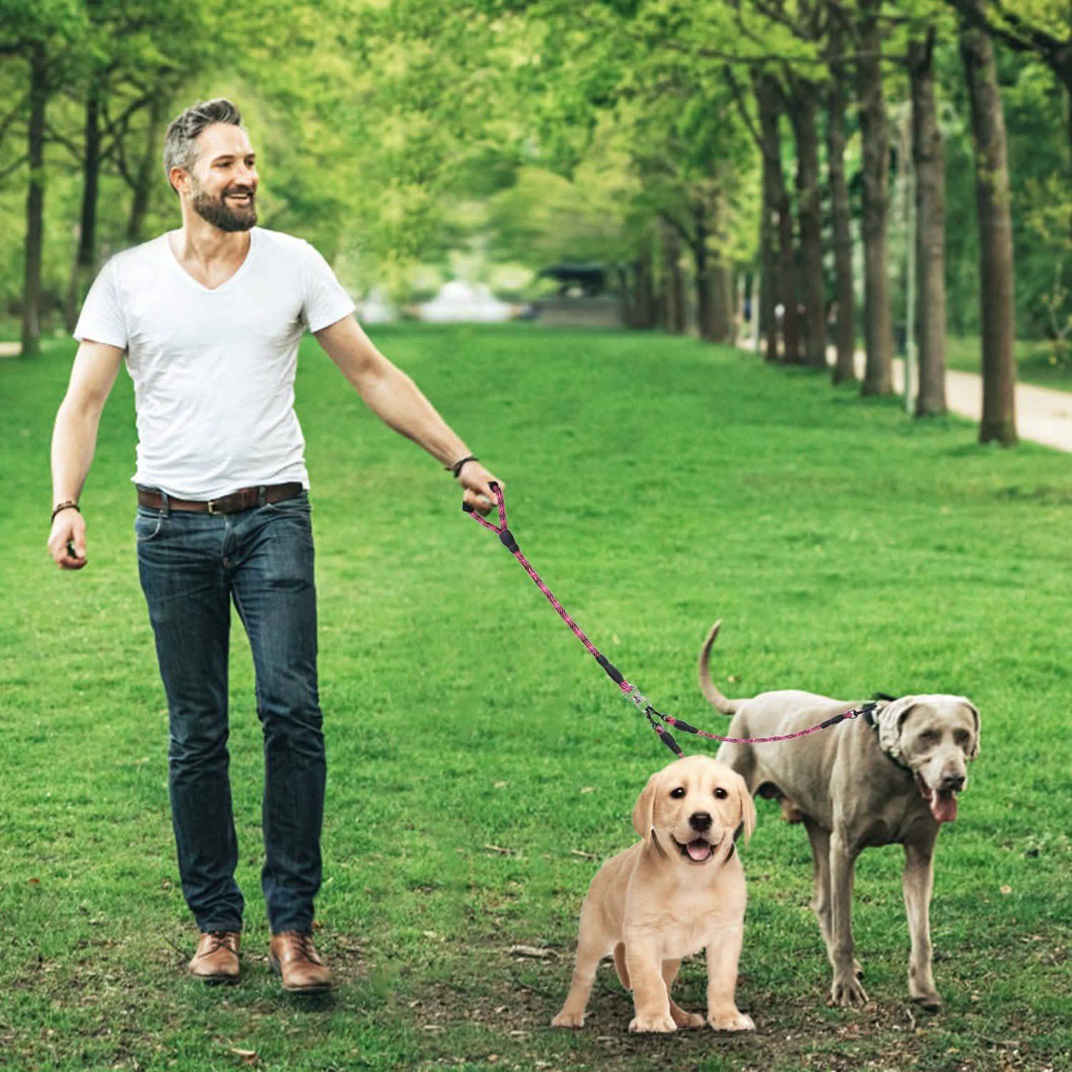 Double Dog Leash No-Tangle with Swivel Coupler Padded Handle DailySale