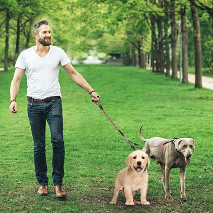 Double Dog Leash No-Tangle with Swivel Coupler Padded Handle DailySale