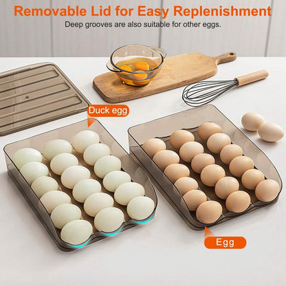 Double Layer Egg Storage for Refrigerator DailySale