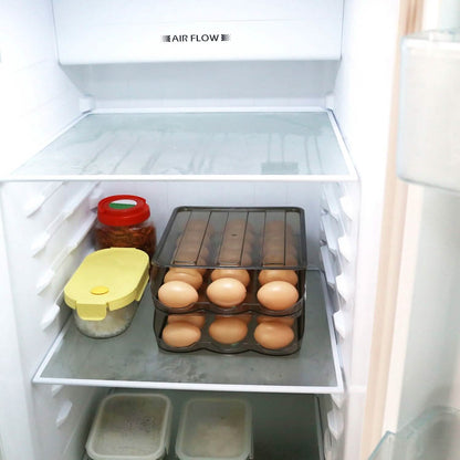 Double Layer Egg Storage for Refrigerator DailySale