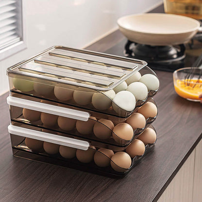 Double Layer Egg Storage for Refrigerator DailySale