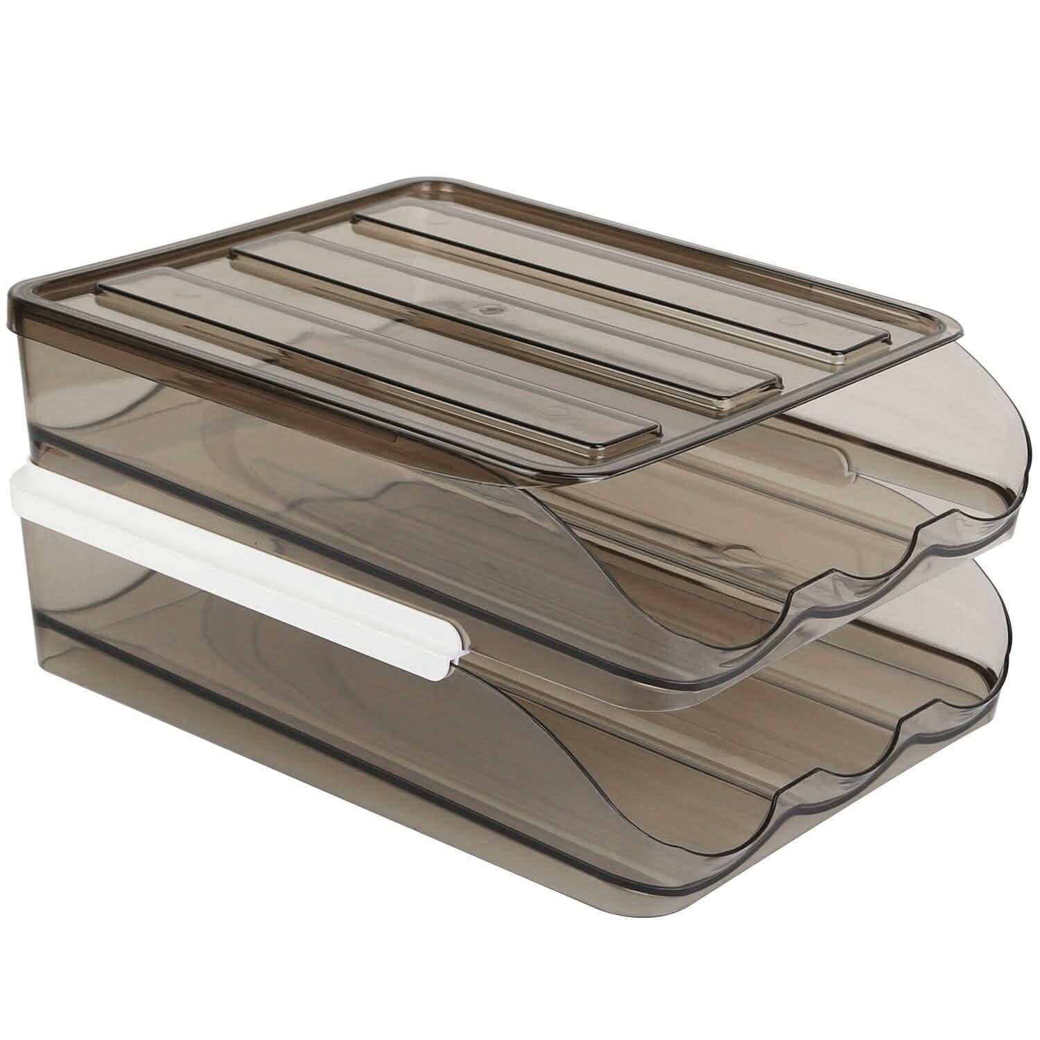 Double Layer Egg Storage for Refrigerator DailySale