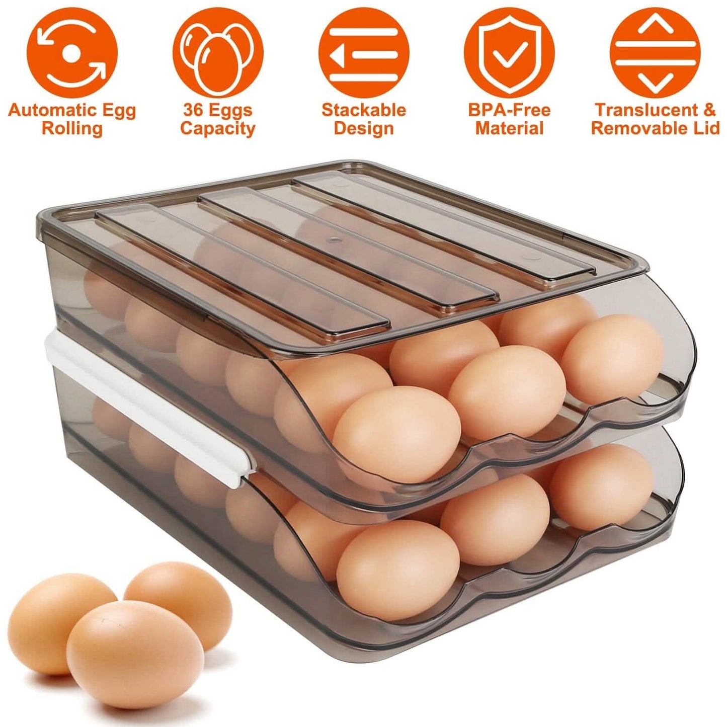 Double Layer Egg Storage for Refrigerator DailySale