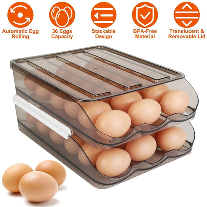 Double Layer Egg Storage for Refrigerator DailySale