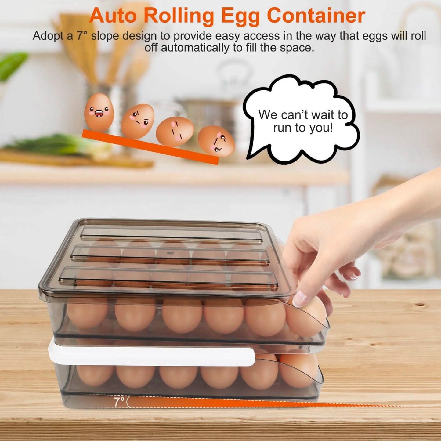 Double Layer Egg Storage for Refrigerator DailySale