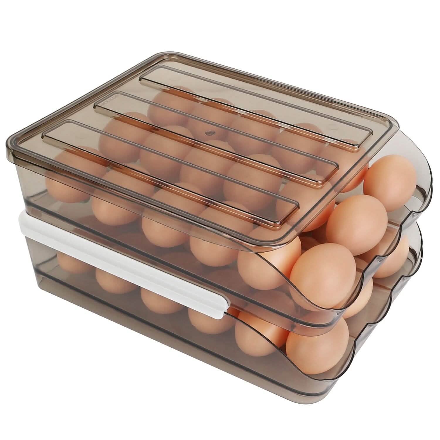 Double Layer Egg Storage for Refrigerator DailySale