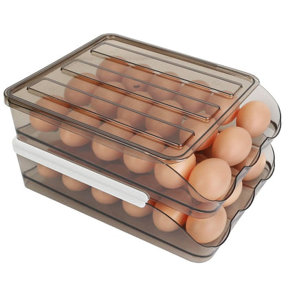 Double Layer Egg Storage for Refrigerator DailySale