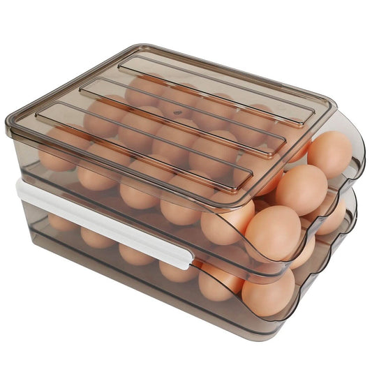 Double Layer Egg Storage for Refrigerator DailySale