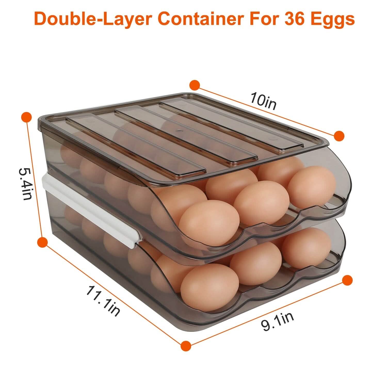 Double Layer Egg Storage for Refrigerator DailySale