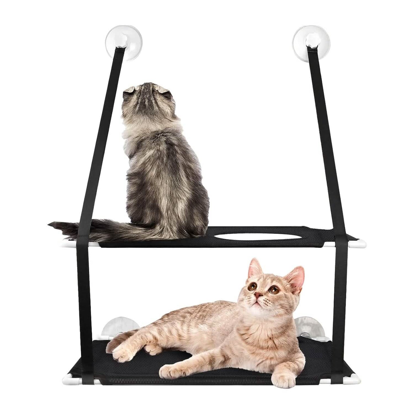 Double Layer Perch Bed Powerful Suction Indoor Window Hammock for Cat DailySale