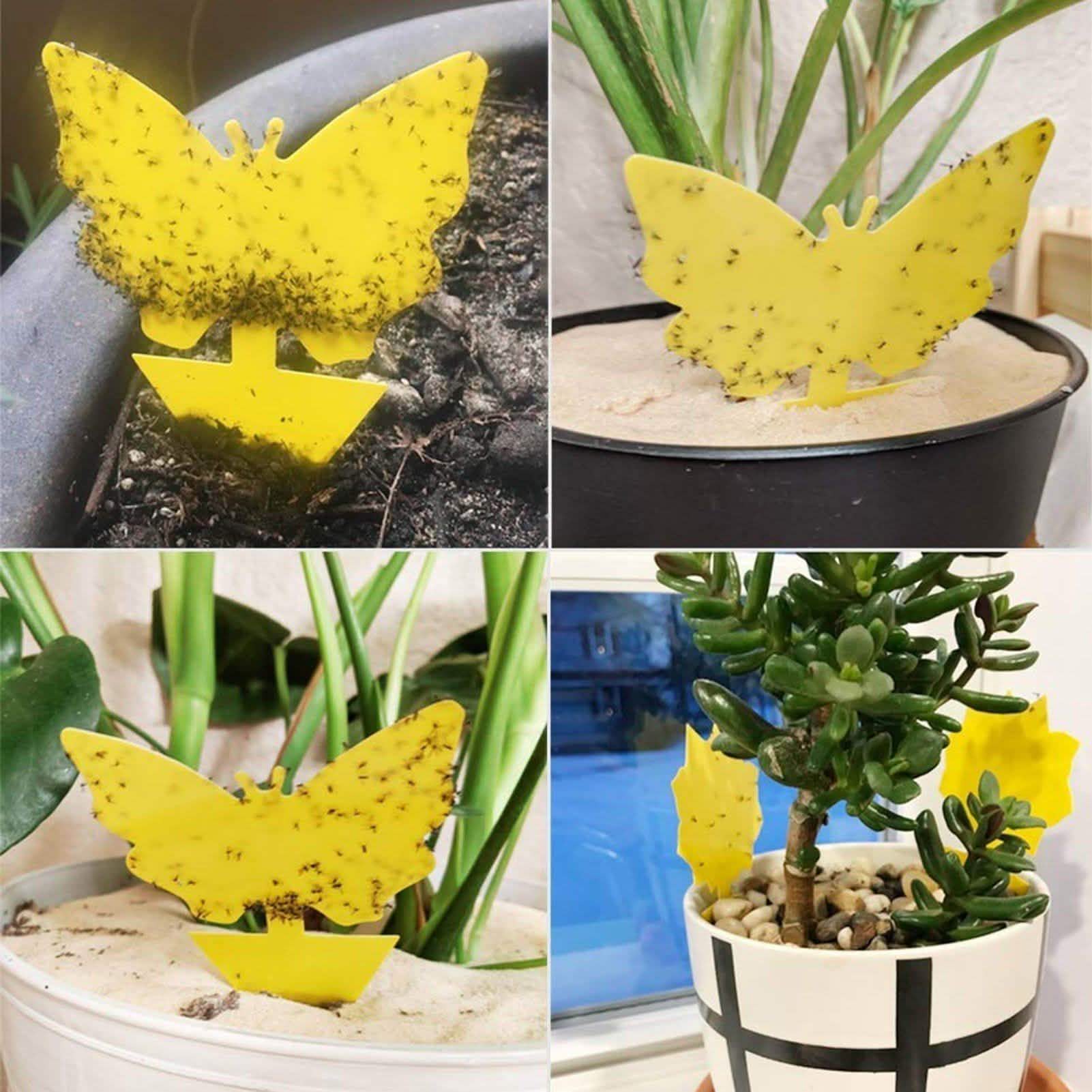 Double-Sided Flying Insect Yellow Sticky Trap DailySale