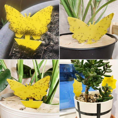 Double-Sided Flying Insect Yellow Sticky Trap DailySale