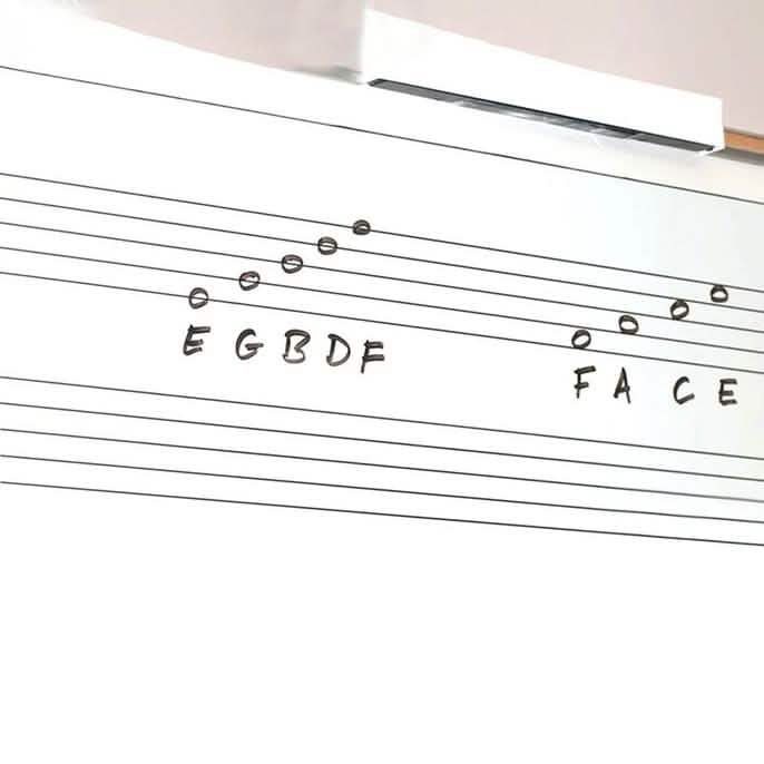 Dry-Erase 6-Ft. Whiteboard or Chalkboard Wall Decal DailySale