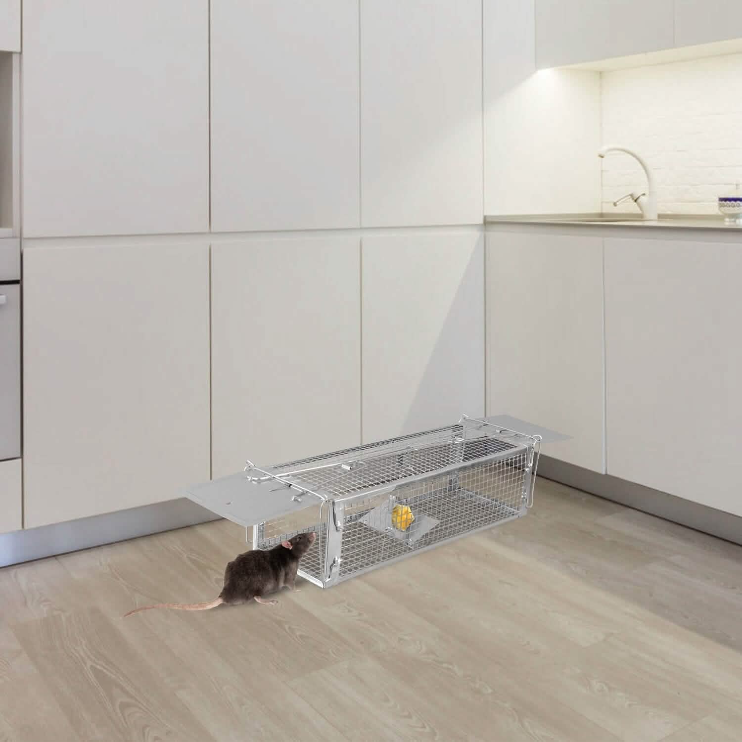 Dual Door Rat Trap Cage Humane with 2 Detachable U Shape Rod DailySale