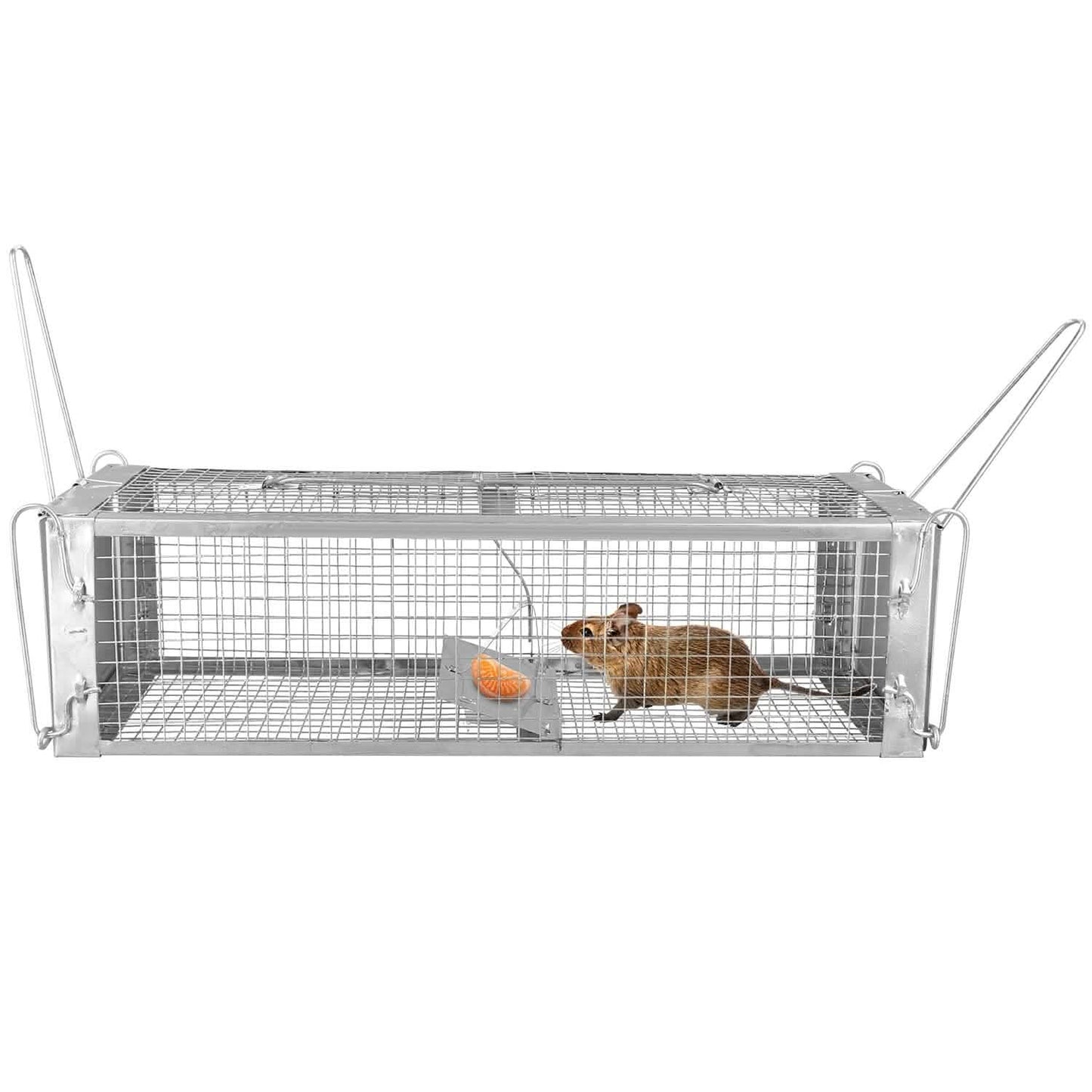 Dual Door Rat Trap Cage Humane with 2 Detachable U Shape Rod DailySale