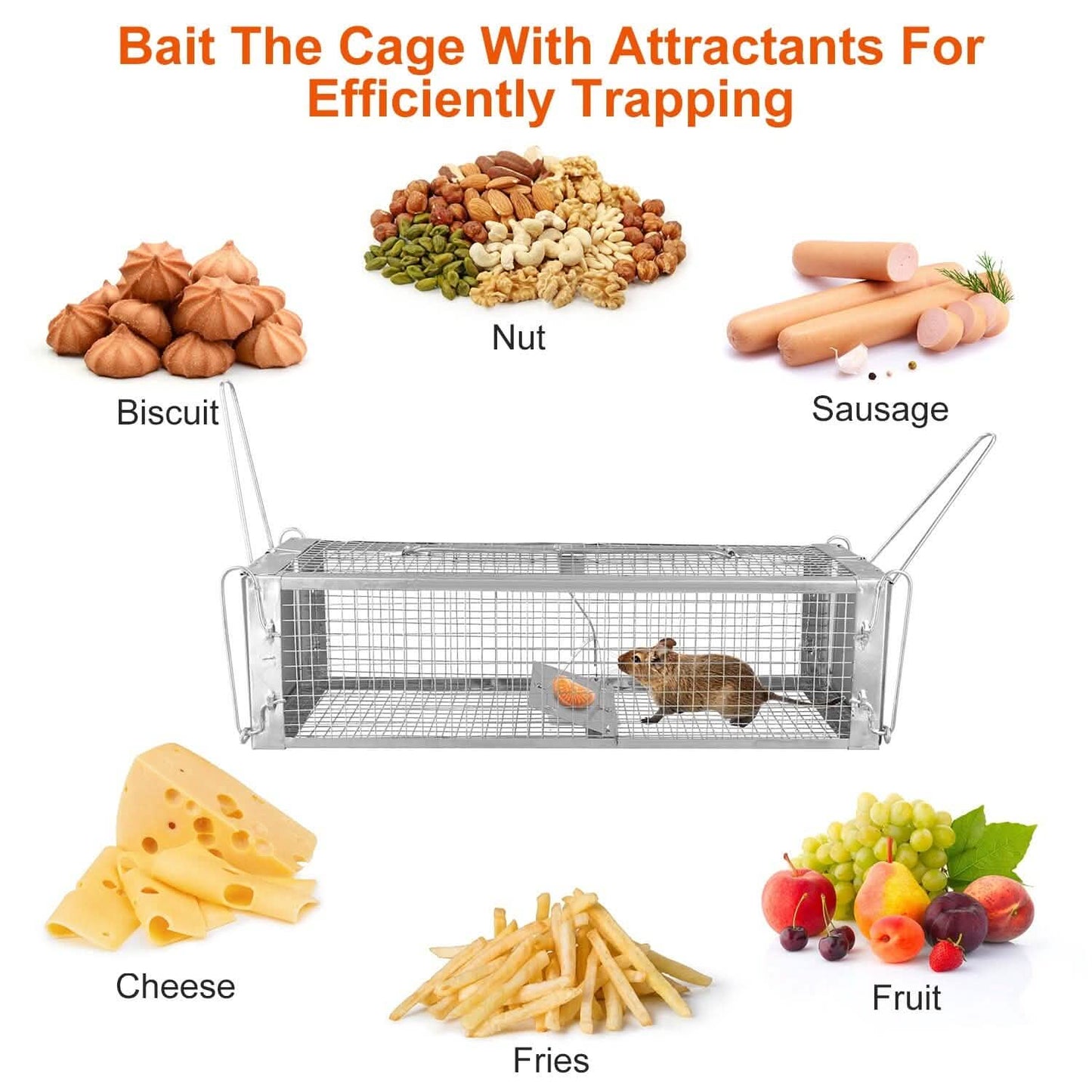 Dual Door Rat Trap Cage Humane with 2 Detachable U Shape Rod DailySale