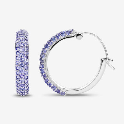 3.06 Carat Genuine Tanzanite .925 Sterling Silver Earrings Bids.com