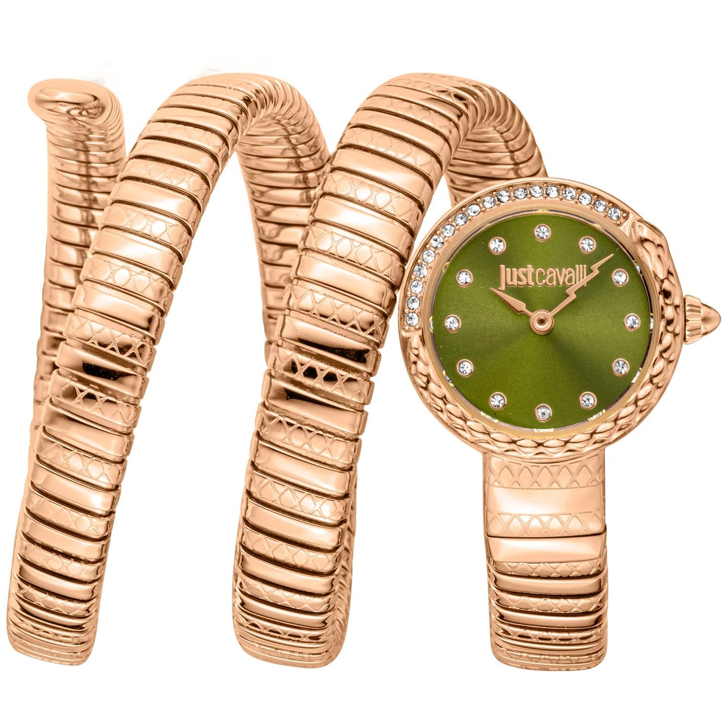 Just Cavalli Women's Enchanting Snake Bids.com