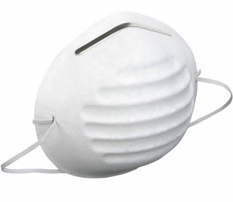 Earloop Molded Face Masks DailySale