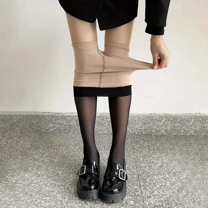 Elastic Translucent Thermal Tights Pants for Women DailySale