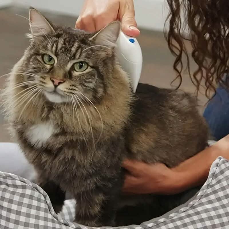 Electric Flea Comb for Cats and Dogs DailySale