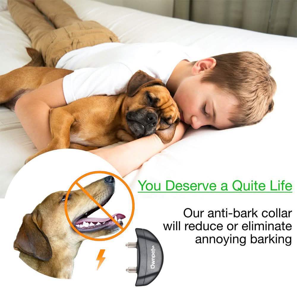 Electric Pet Dog Anti-Bark Training Collar Safe Tone Shock Control Adjustable DailySale