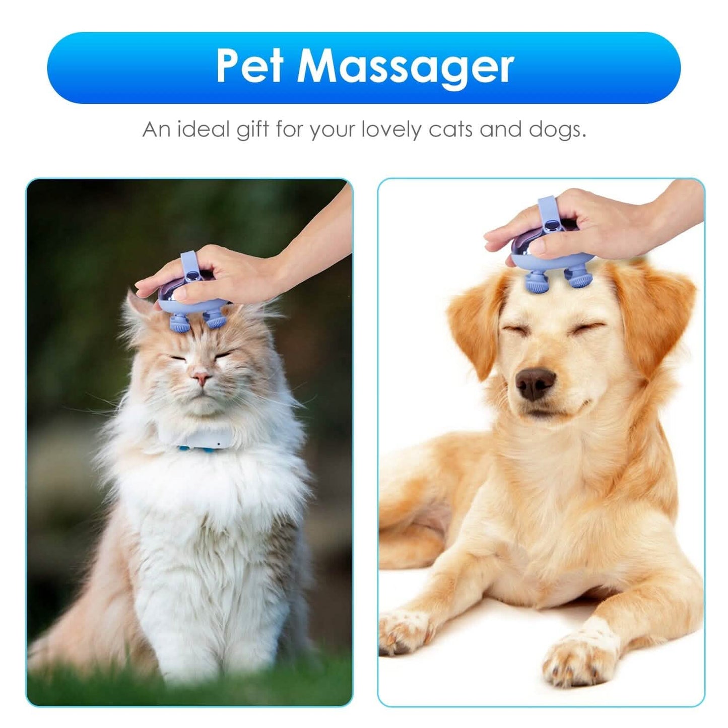 Electric Rechargeable Scalp Massager DailySale