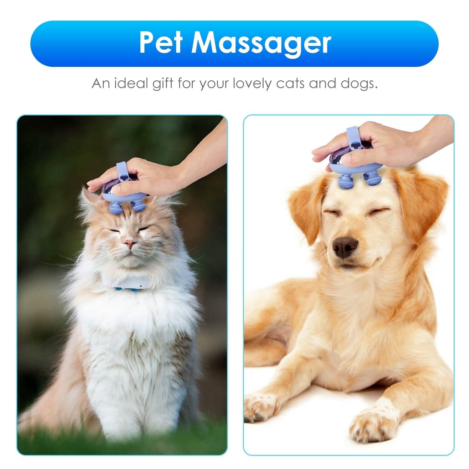 Electric Rechargeable Scalp Massager DailySale