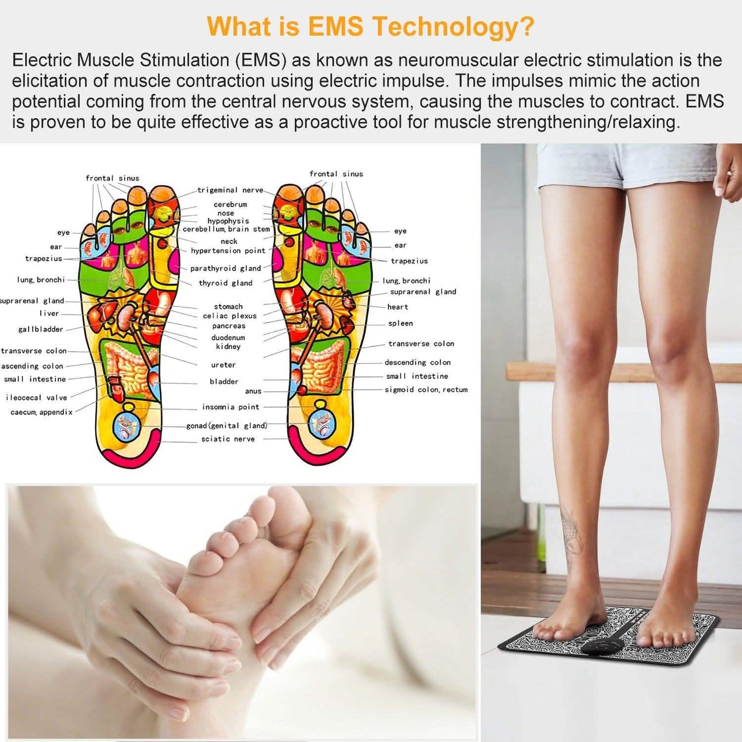 Electric Stimulator Massage Pad DailySale