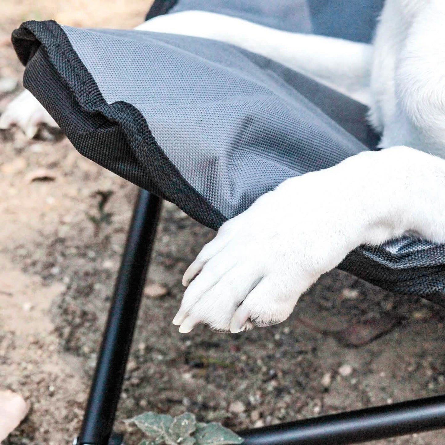 Elevated Camping Pet Bed Medium DailySale