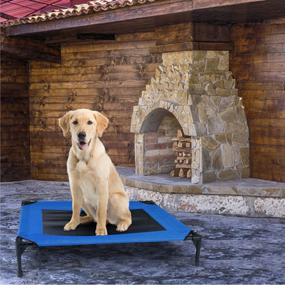 Elevated Dog Cot Bed DailySale