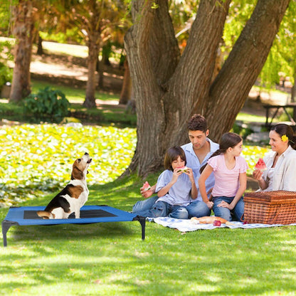 Elevated Dog Cot Bed DailySale