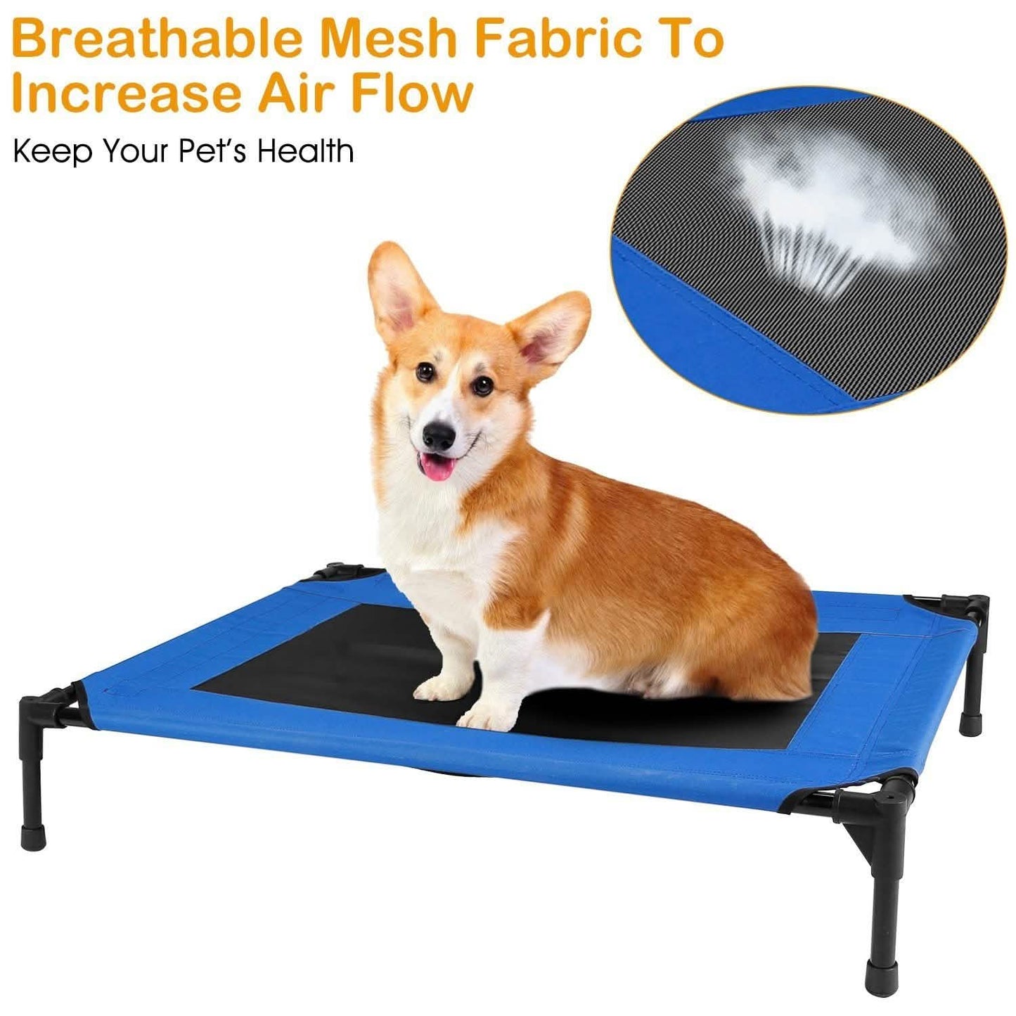 Elevated Dog Cot Bed DailySale