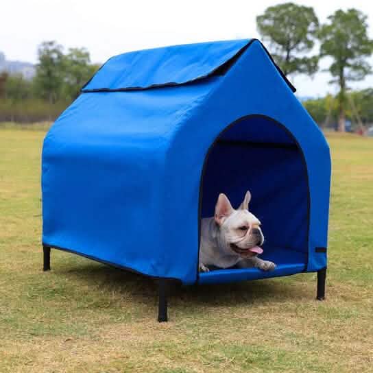 Elevated Portable Pet House DailySale