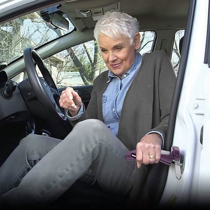 Emson Car Cane 3-in-1 Mobility Aid DailySale