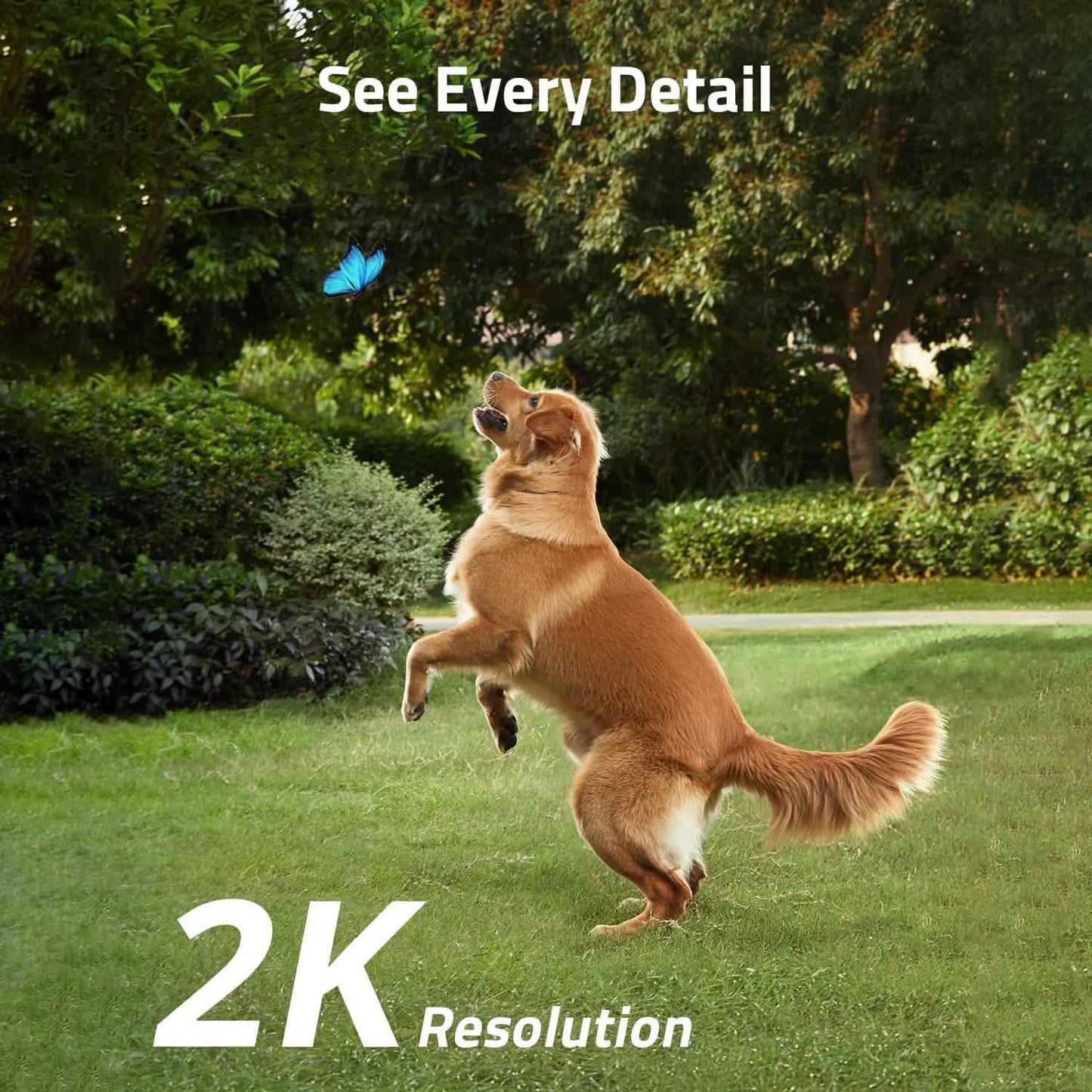 Eufy SoloCam S40 Solar Security Camera DailySale