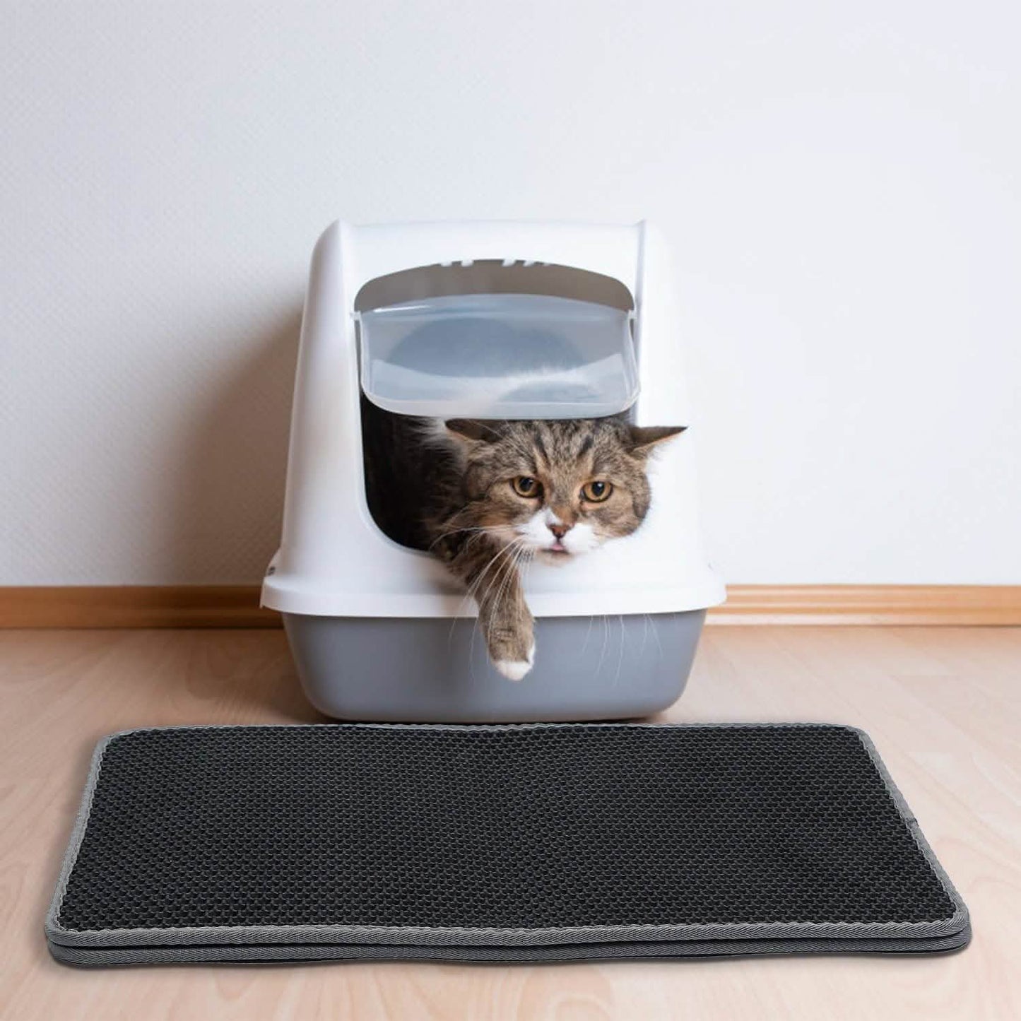 EVA Honeycomb Double Layer Cat Litter Mat DailySale