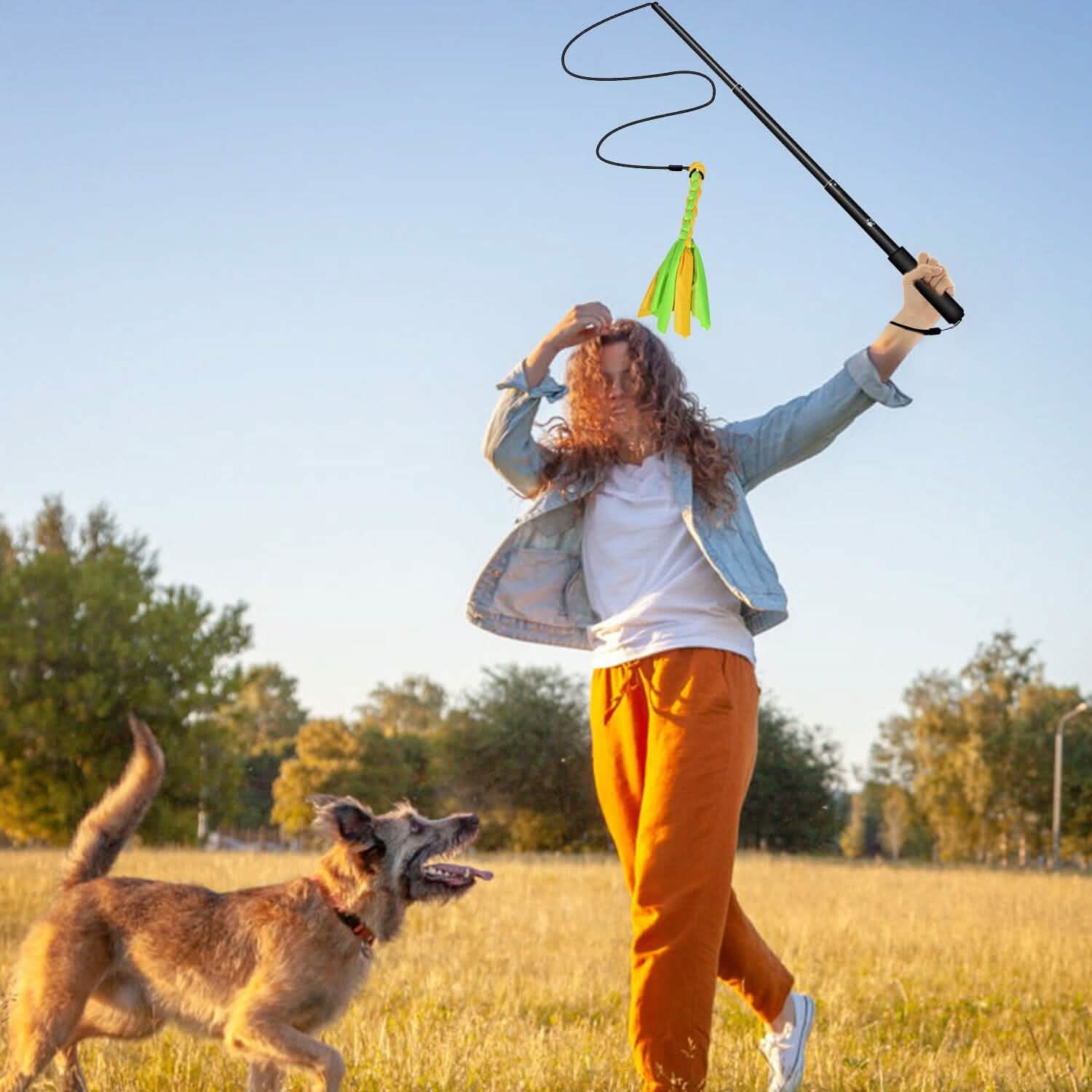 Extendable Dog Flirt Pole with 2 Replaceable Interactive Tail Toys DailySale