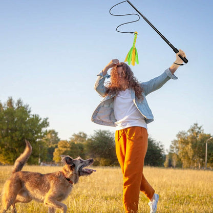Extendable Dog Flirt Pole with 2 Replaceable Interactive Tail Toys DailySale