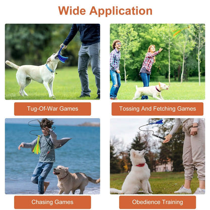 Extendable Dog Flirt Pole with 2 Replaceable Interactive Tail Toys DailySale