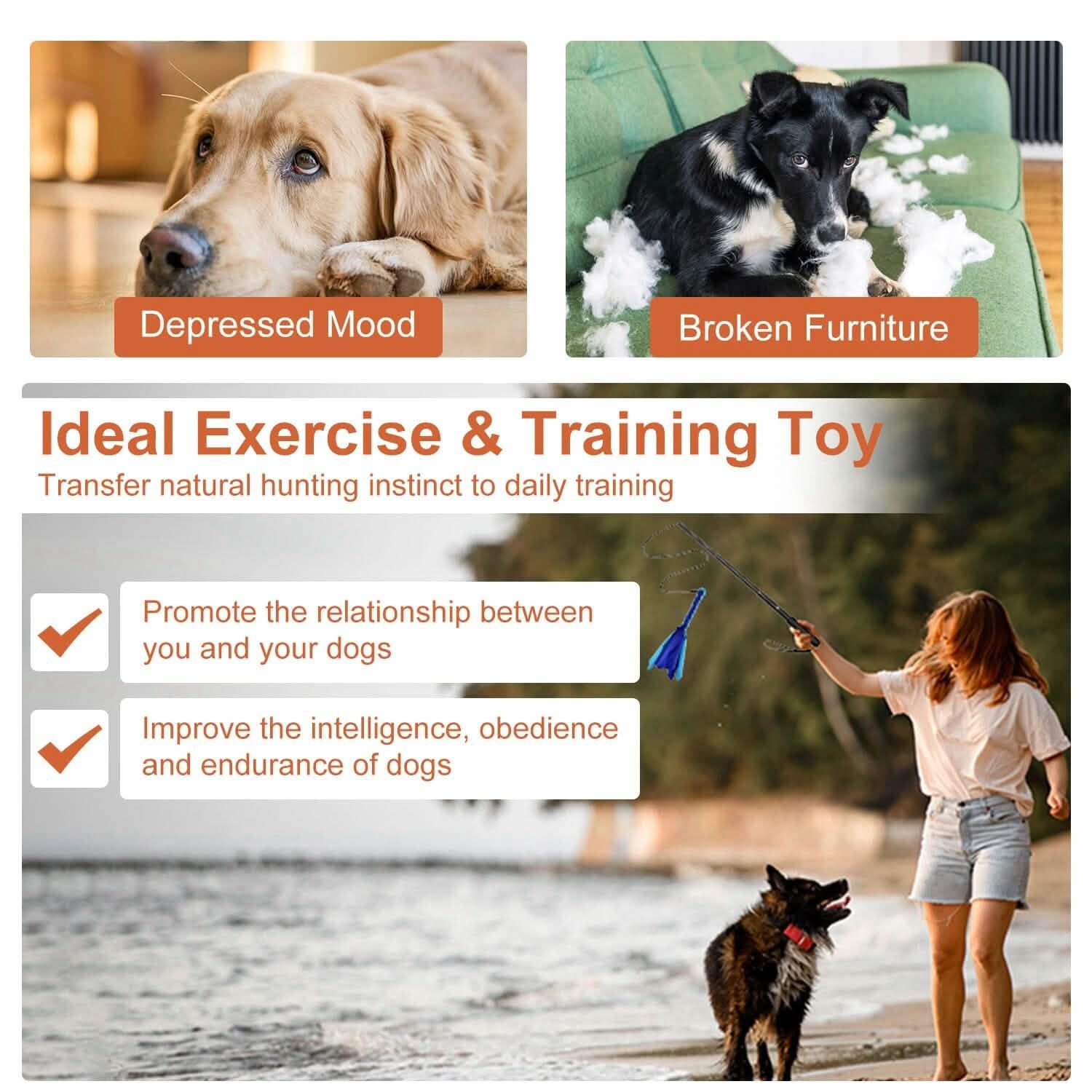 Extendable Dog Flirt Pole with 2 Replaceable Interactive Tail Toys DailySale