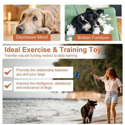 Extendable Dog Flirt Pole with 2 Replaceable Interactive Tail Toys DailySale