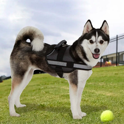 Ez-Pet Vest Collar Soft Adjustable Harness DailySale