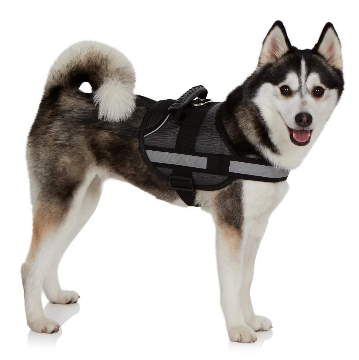 Ez-Pet Vest Collar Soft Adjustable Harness DailySale