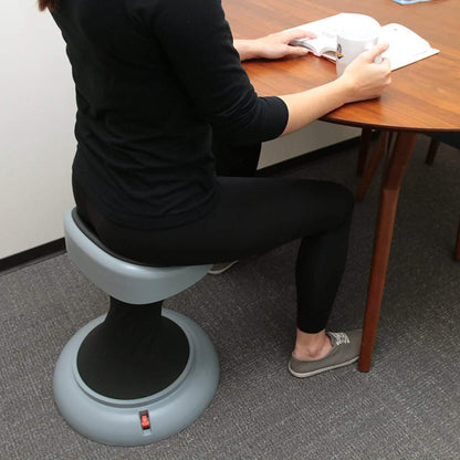 Ezhula Premium Fitness Exercise Chair DailySale