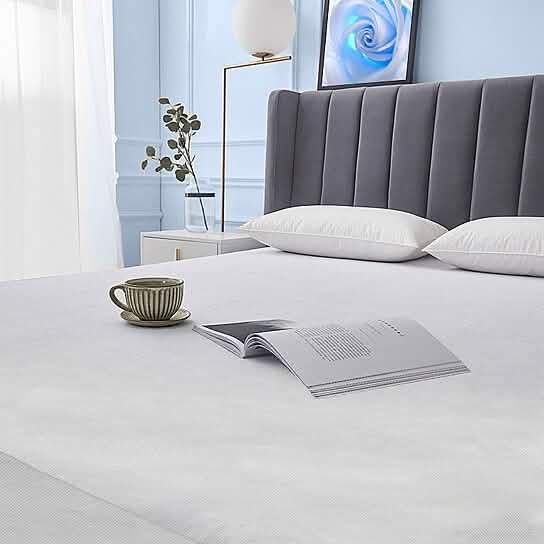 Fabric Zippered Waterproof and Bed Bug Mattress Protector DailySale