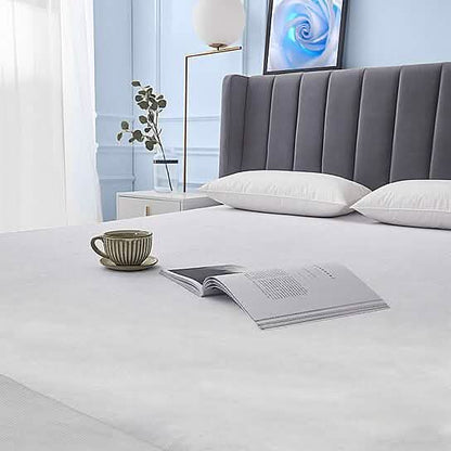 Fabric Zippered Waterproof and Bed Bug Mattress Protector DailySale
